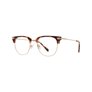 Tortoise /Gold